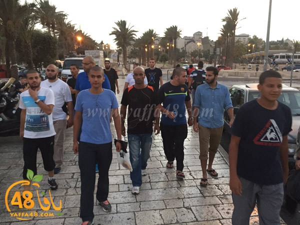 yaffa rebatt3 (6).jpg